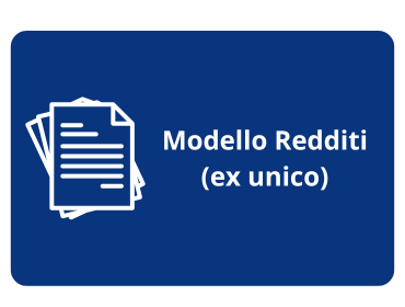 pulsante modello redditi